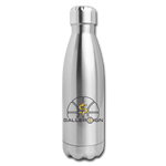 Insulated Stainless Steel Water Bottle / Basketball/Banner - silver